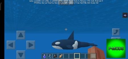 кит в море