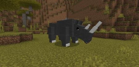 черный носорог