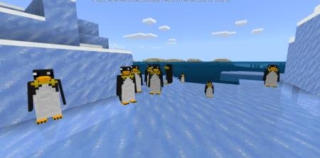 Стая пингвинов на льдине