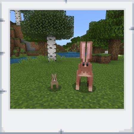 Длинноухий заяц