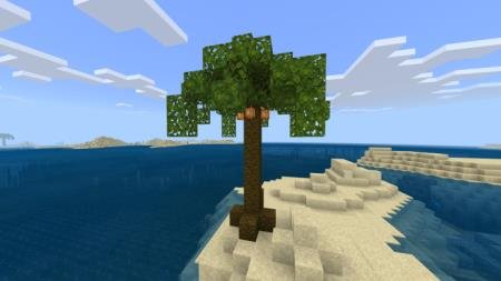 Пальмовое дерево 3
