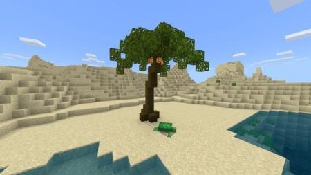 Пальмовое дерево 1
