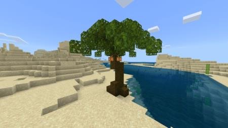 Пальмовое дерево 2