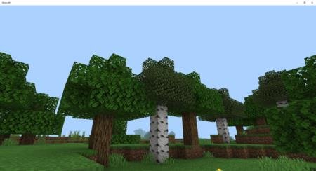 Несколько деревьев на равнине, расположенных в одном ряду