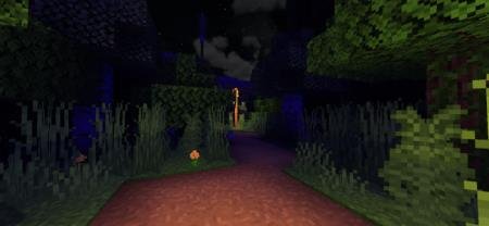 Вид на ночной лес