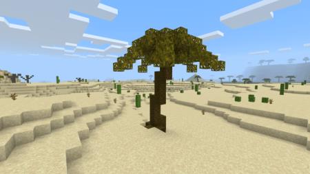 Пустынная пальма