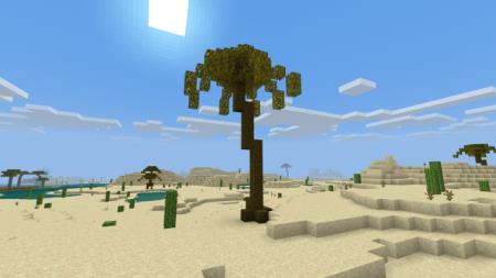Пустынная пальма