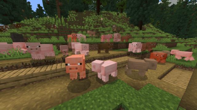 Группа свиней