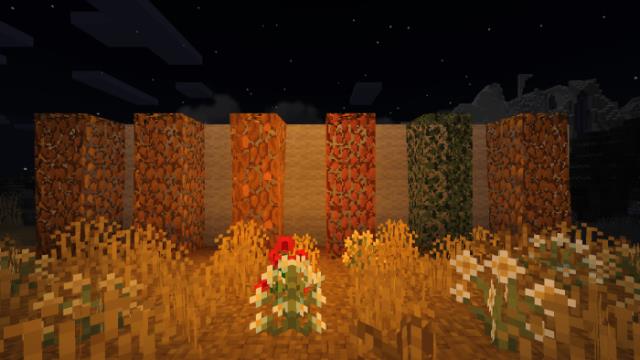 Блоки листьев, опавших с деревьев в различных цветах в вечернее время