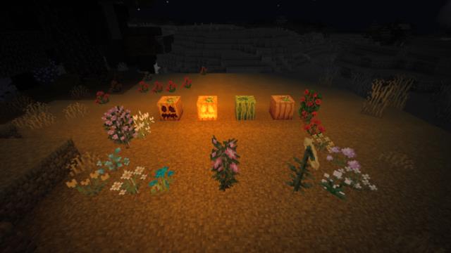 Тыквы, арбузы и цветы в ночное время