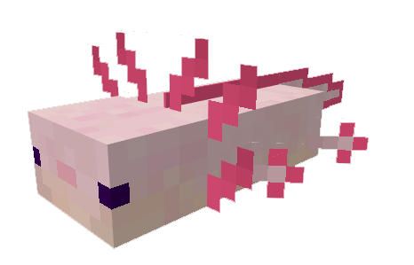 Аксолотли розового оттенка