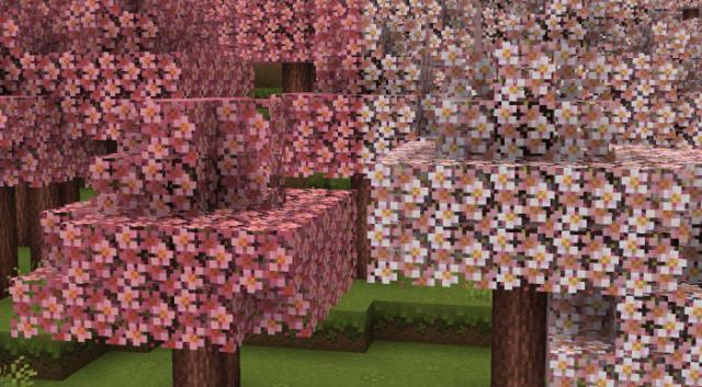 розовые деревья и блоки 1
