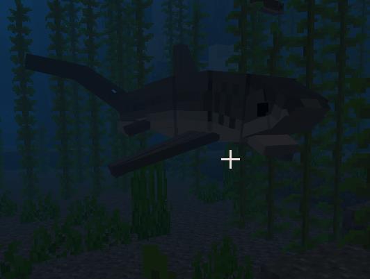 Большеглазая акула