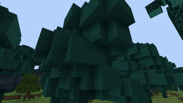 Скулковое дерево