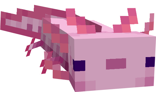 Розовый аксолотль