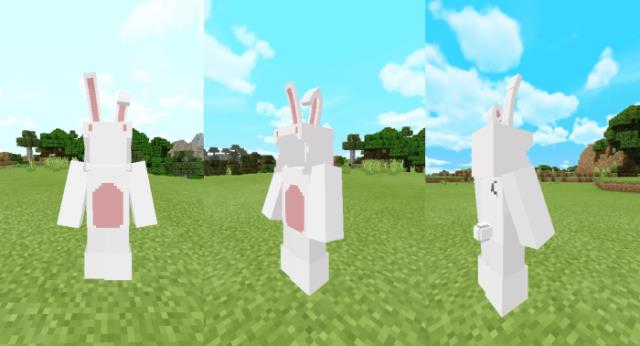 Три вида на костюм зайца