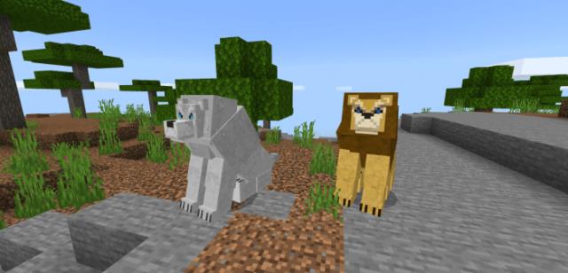 Два вида львов