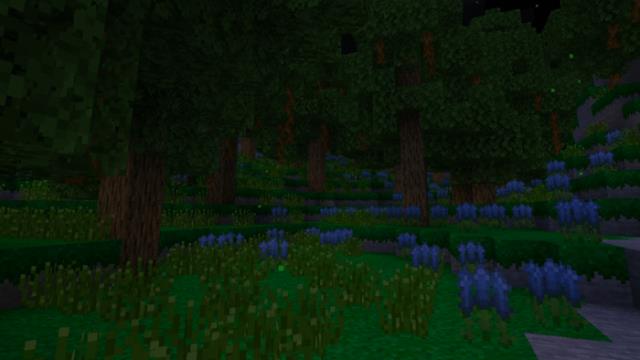 Лес с густой травой в темноте