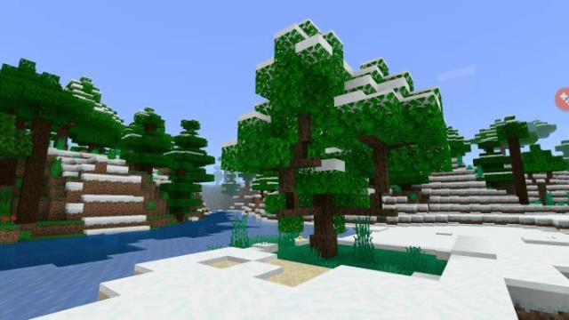 Снежный биом с деревьями