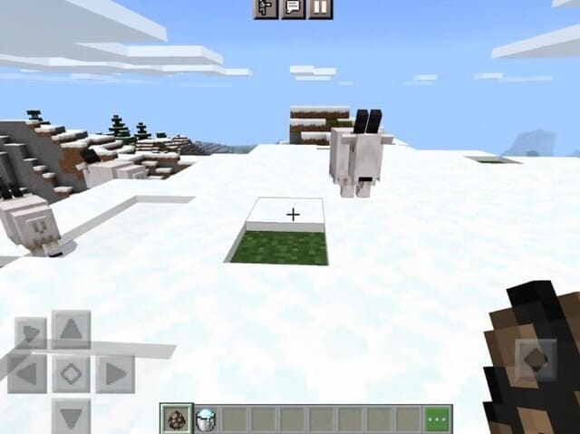 Горный козел в снегу