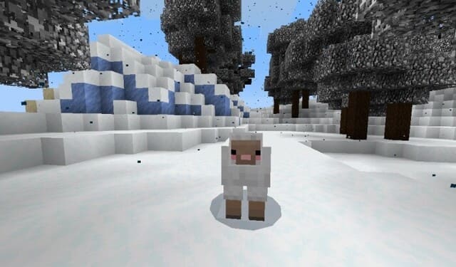 Снежный баран