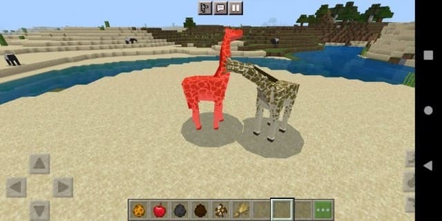 Жирафы дерутся друг с другом