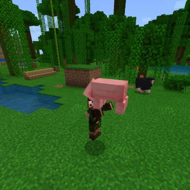 Игрок носит свинку
