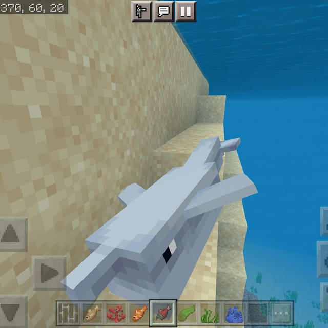 Дельфин рядом с берегом