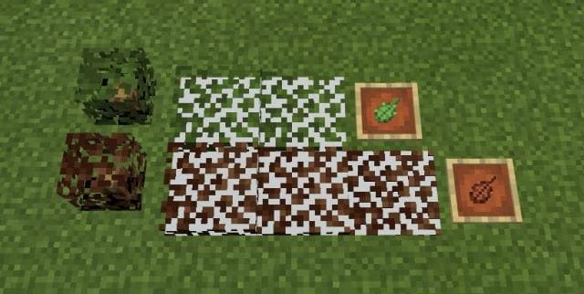 Different blocks of bushes