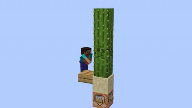 Игрок ломает кактус