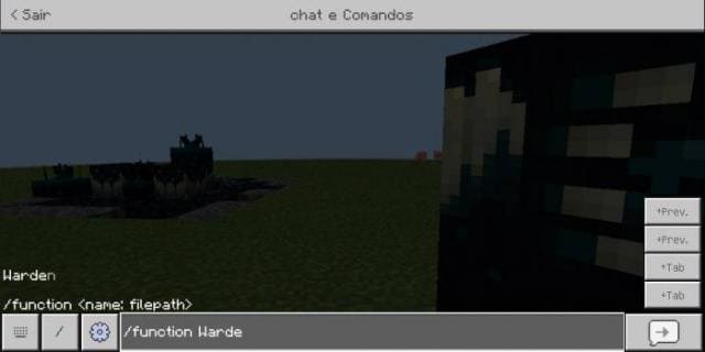 Obtaining blocks and items using commands
