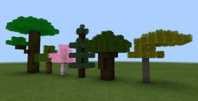 Шесть видов деревьев