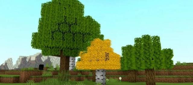 Желтая листва деревьев