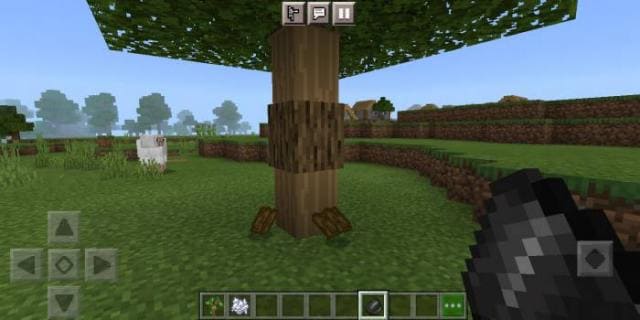 Получение коры деревьев