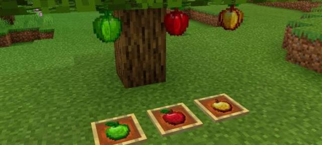 Виды яблок на дереве и в рамке