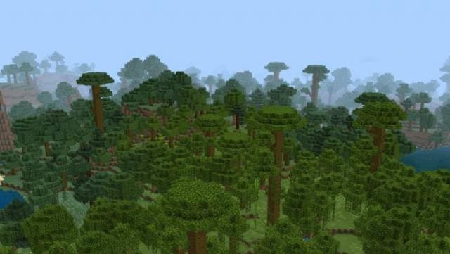 Густой биом джунглей