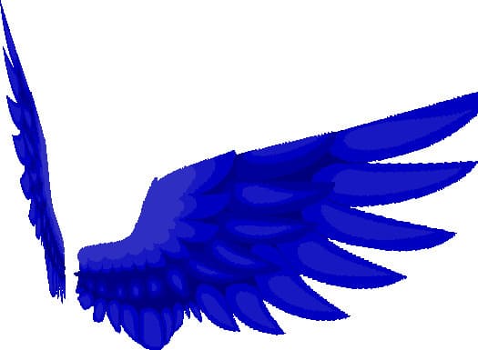 Синие элитры в виде крыльев