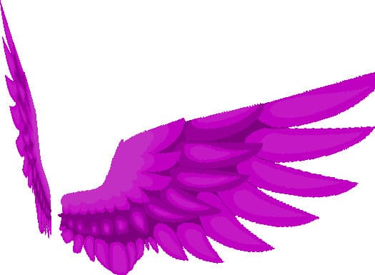 Пурпурные элитры в виде крыльев