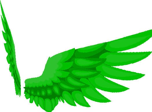 Зеленые элитры в виде крыльев