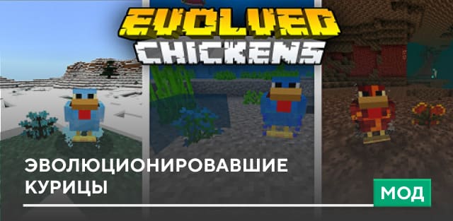 Мод: Эволюционировавшие курицы