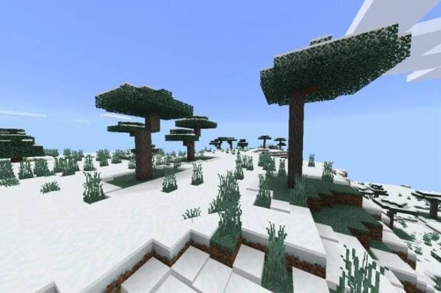 Деревья на снегу