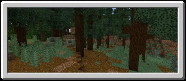 Forest biome
