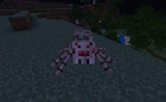Бледный паук