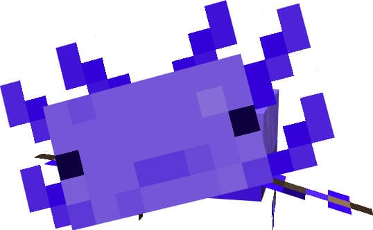 Пурпурный аксолотль