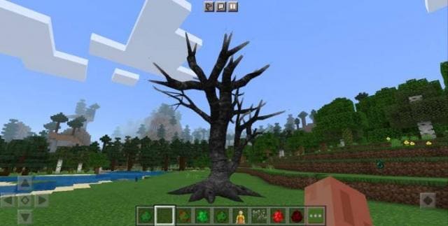 Огромное дерево без листьев