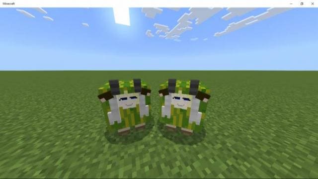 Две овцы-арбуза