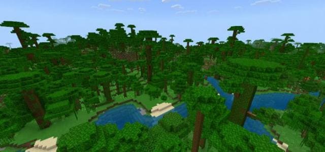 Деревья джунглей в лесу