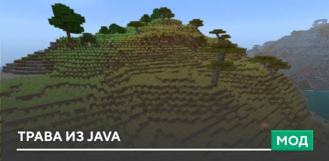 Мод: Трава из Java