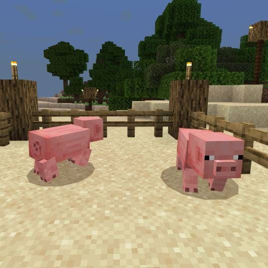 Свиньи пасутся
