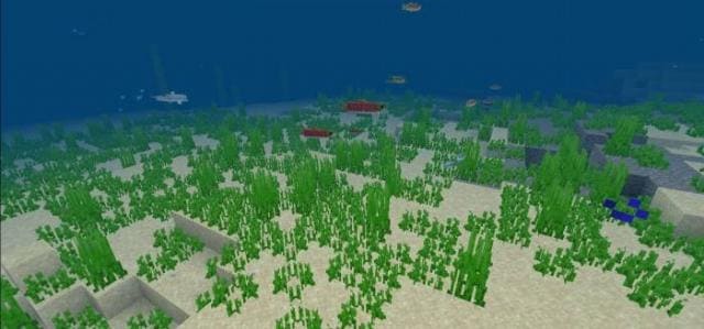 Морская трава
